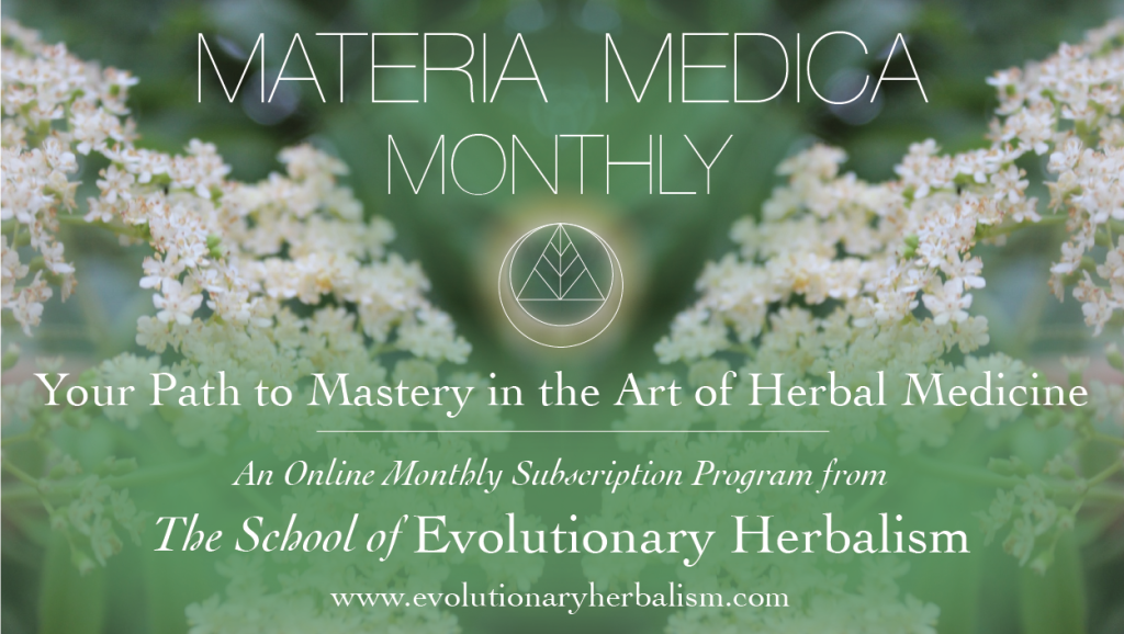 Materia Medica Monthly Facebook Thumbnail