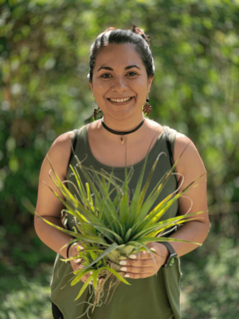 Herbal Practitioner Training