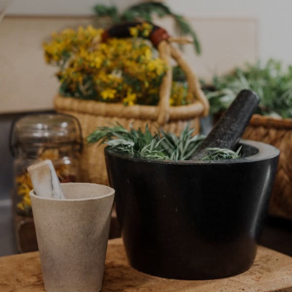 Evolutionary Herbalism Foundations